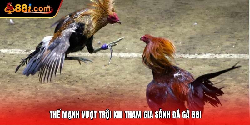 Thế mạnh vượt trội khi tham gia sảnh đá gà 88i