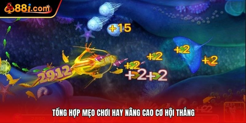 Áp dụng mẹo chơi hay giúp nâng cao cơ hội thắng lớn
