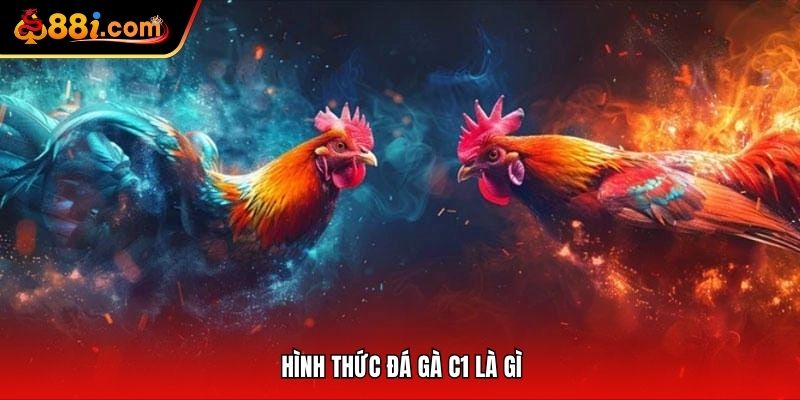 Hình thức đá gà C1 là gì